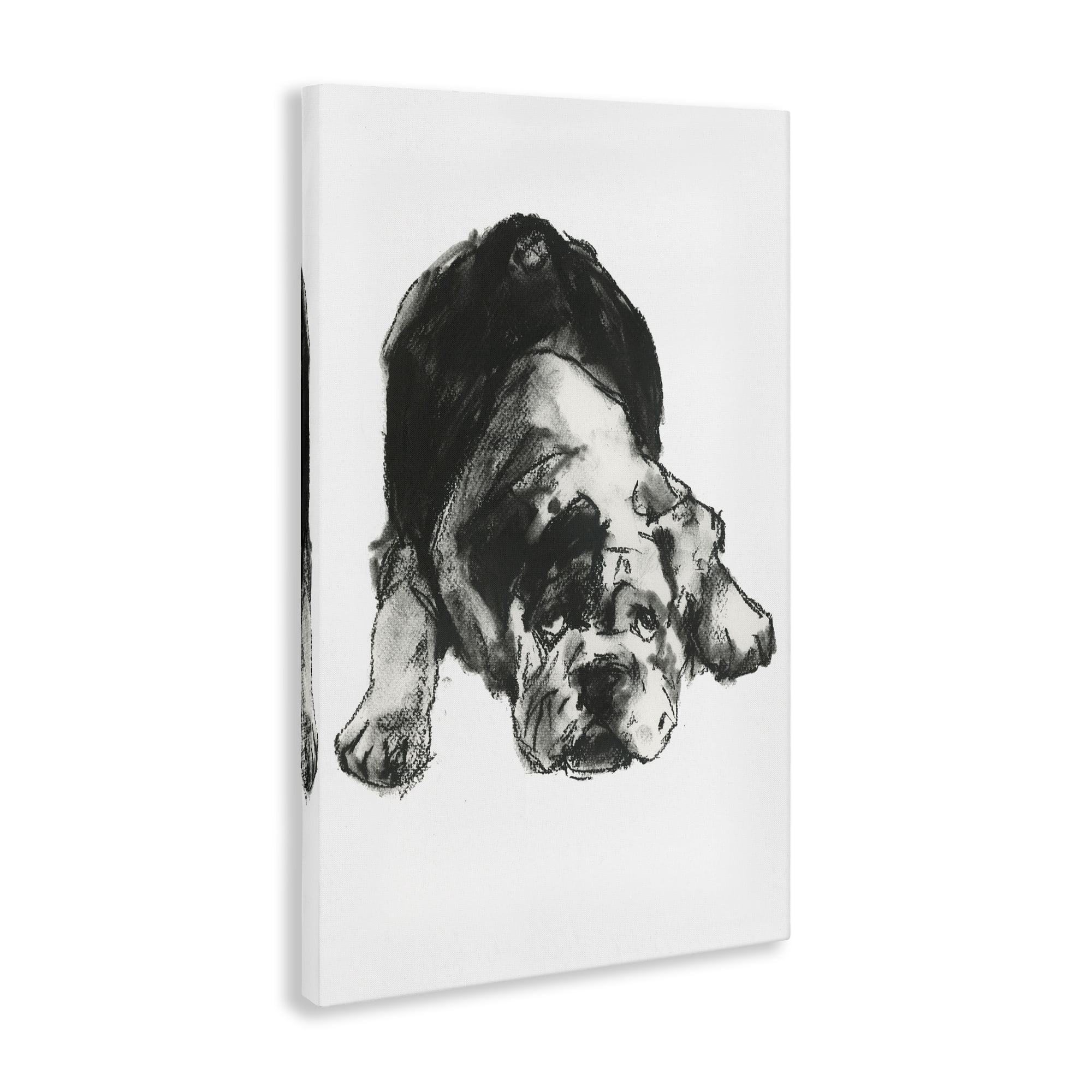 Stupell Industries Bulldog Drawing Portrait Animals & Insects Drawing Gallery Wrapped Canvas Art Print Wall Art, 30 x 45