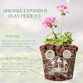 thumbnail image 4 of NOGIS Clay Pebbles for Plants - 0.66lb 8-14 mm Pebbles for Indoor Plants Clay Used for Drainage, Decoration, Aquaponics, Hydroponics and Other Gardening Essentials Small Pebbles Leca, 4 of 6