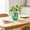 B, variant on YuanGuangQ Transparent Plastic Self Watering Flower Pot, Diamond Shaped Hydroponic Plant Container, Clear Pot for Office Indoor Desk Plants