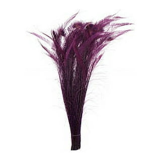 Zucker Feather Products Peacock Swords Bleach Dyed - Brown
