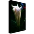 thumbnail image 2 of Trademark Art "Moonflower Bud" Canvas Art by Kathie McCurdy, 2 of 2