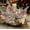 Red-E, variant on RoamHome 1Pc Christmas White Pine Cuttings 25 Frosted Needle Look Artificial Greenery Stems for Holiday Decor DIY Arrangements Wreaths Garlands Centerpieces