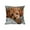 L, variant on Tyidzon Pillow Covers 18x18 Holiday Animals Themed Modern Decorative Throw Pillow Covers Pillow Protectors Cushion Case Home Living Room Decor for Sofa Car, 18x18 Inch