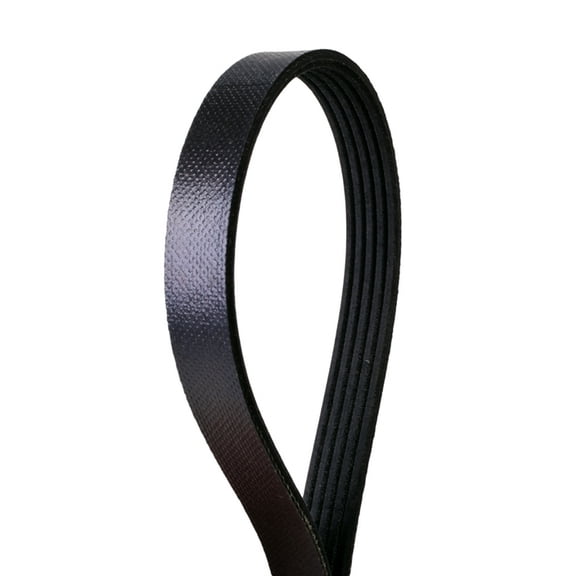 Automotive Multi-V Stretch Belt