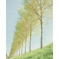 thumbnail image 2 of Van de Goor, Lars 15x18 Gold Ornate Wood Framed with Double Matting Museum Art Print Titled - Endless, 2 of 4