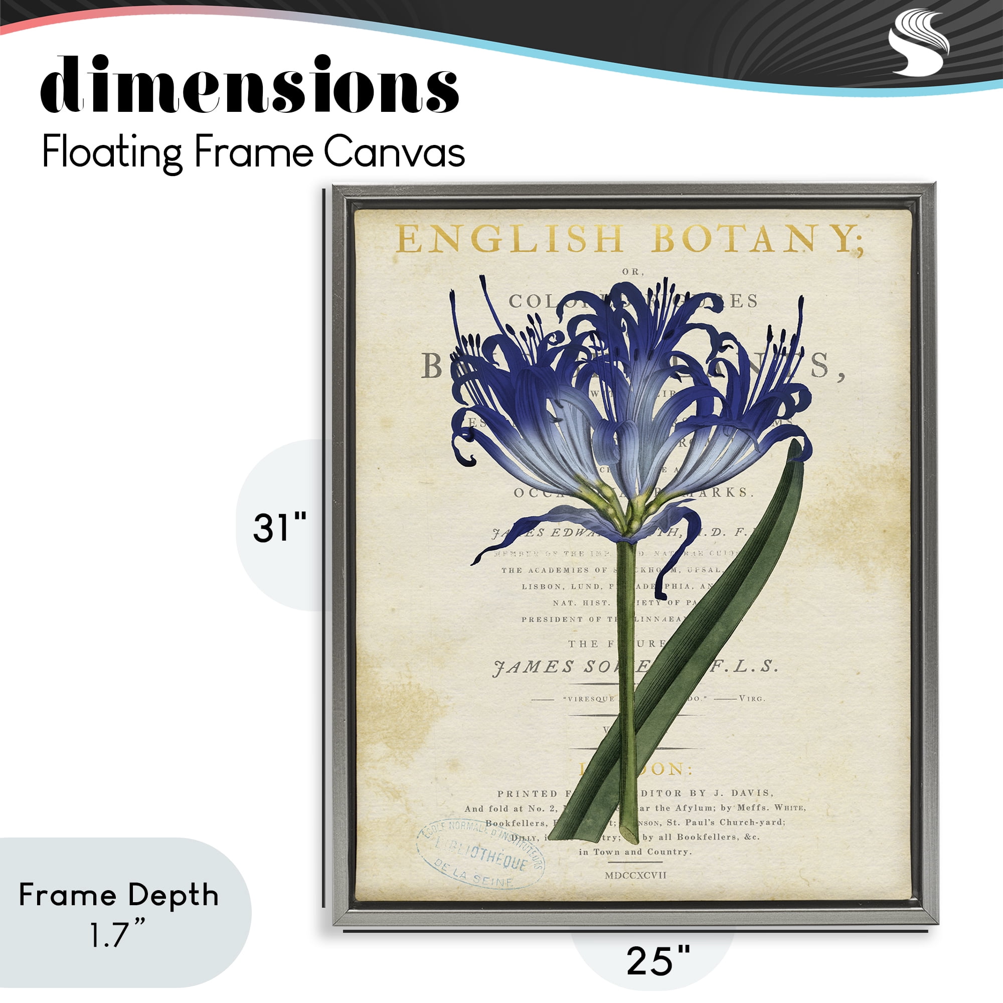 Stupell Industries English Botany Blue Floral Gray Framed Floater Canvas Wall Art, design by Susan Arnot