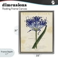 thumbnail image 4 of Stupell Industries Shabby Chic English Botany Blue Floral Gray Floating Frame Canvas Art, 25 x 31, by Susan Arnot, 4 of 8