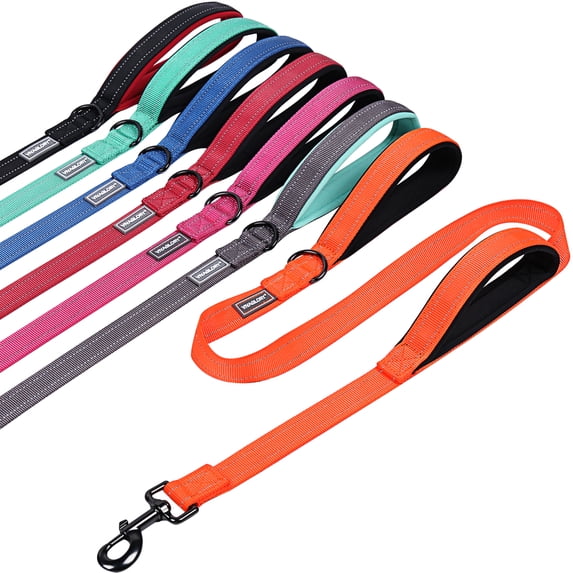 VIVAGLORY Dog Leash with Double Handle, Reflective Nylon Lead, Medium & Large, Orange, 4 ft