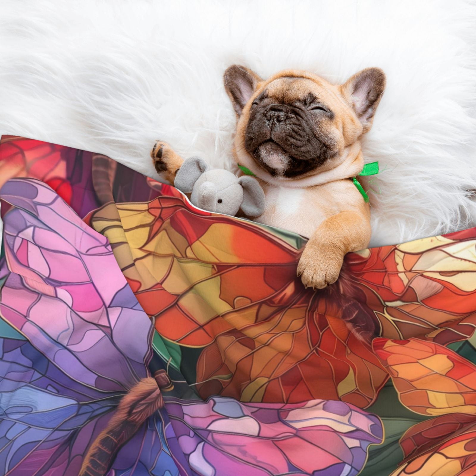 Naloa Colorful Butterfly Cluster Dog Blanket, 3 Sizes Cat Blanket for Indoor Cats Large Medium Small Dog Gifts-Medium