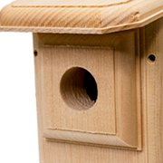 2 Side Open Bluebird House | Observation Nest Box with Clear Viewing Panel & Predator Guard | Hinged Easy-Clean Sides | 1 Pine Insulated Birdhouse | 1.5 Entry | Handcrafted in Maine, USA