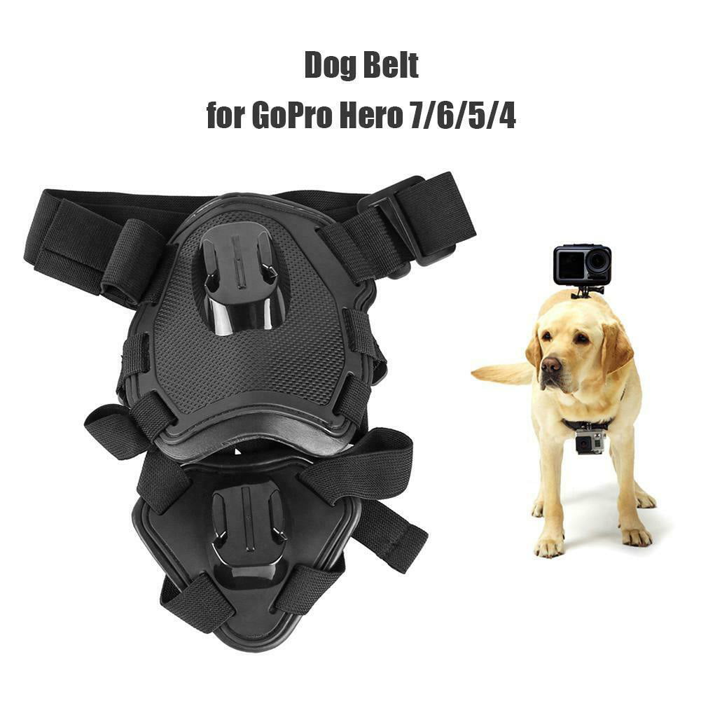 Pet Dog Chest Harness Strap Body Holder Mount Belt GoPro Hero Sport Camera Strap