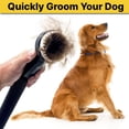thumbnail image 2 of Herramienta de Aseo para Perros Shop-Vac 9190400 cerdas Suaves y aspiración de Mascotas, 2 of 7