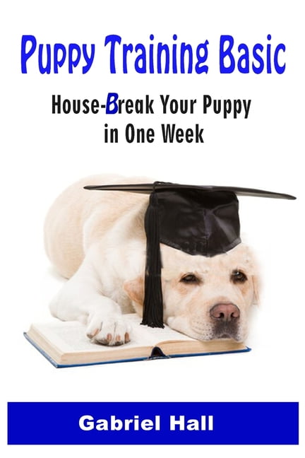 house break a puppy