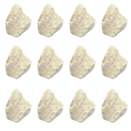 12PK Raw Limestone Chalk Sedimentary Rock Specimens - Approx. 1 - Geologist Selected & Hand Processed - Great for Science Classrooms - Class Pack - Eisco Labs