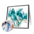 thumbnail image 3 of Kit de pintura por números DIY Iris Hand Oil Art Picture Craft Home Wall Decor (B2192) FLhrweasw Nuevo, 3 of 9