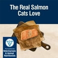 thumbnail image 4 of Blue Buffalo True Solutions Skin & Coat Care Natural Dry Cat Food, Salmon, 11-lb. Bag, 4 of 13