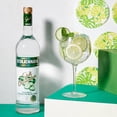 thumbnail image 3 of Pack de 12 Vodka Stolichnaya Cucumber 750 ml, 3 of 3