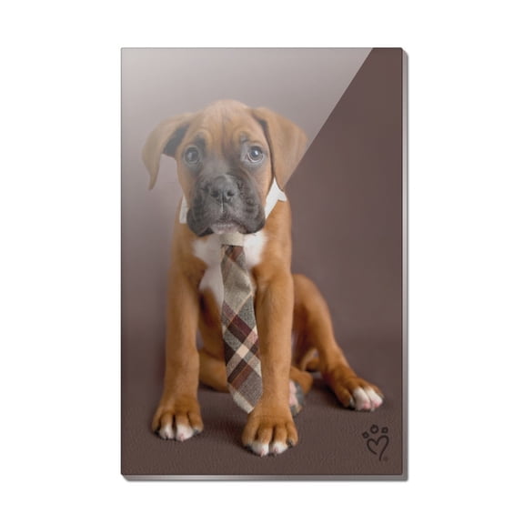Boxer Puppy Dog Sitting with Tie Rectangle Acrylic Fridge Refrigerator Magnet