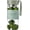 Green, variant on Glass Bottle 16 oz Drinking Bottle with Non-Slip Holster, and Stainless Infuser,Leak Proof Lid,Portable Glass Water Bottle for School, Office, & ,as a , etc ()