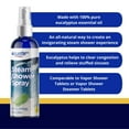 Equate Steam Shower Vapor Liquid Spray for Sinus Decongestant