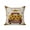 brown, variant on Outdoor Pillows Waterproof, Vintage Sunflower Truck Bedding Throw Pillows with Insert for Couch Sofa Bed, Summer Botanical Pastoral Retro Art 18x18 Inch Pillowcases Decorative Patio Pillow Set of 1