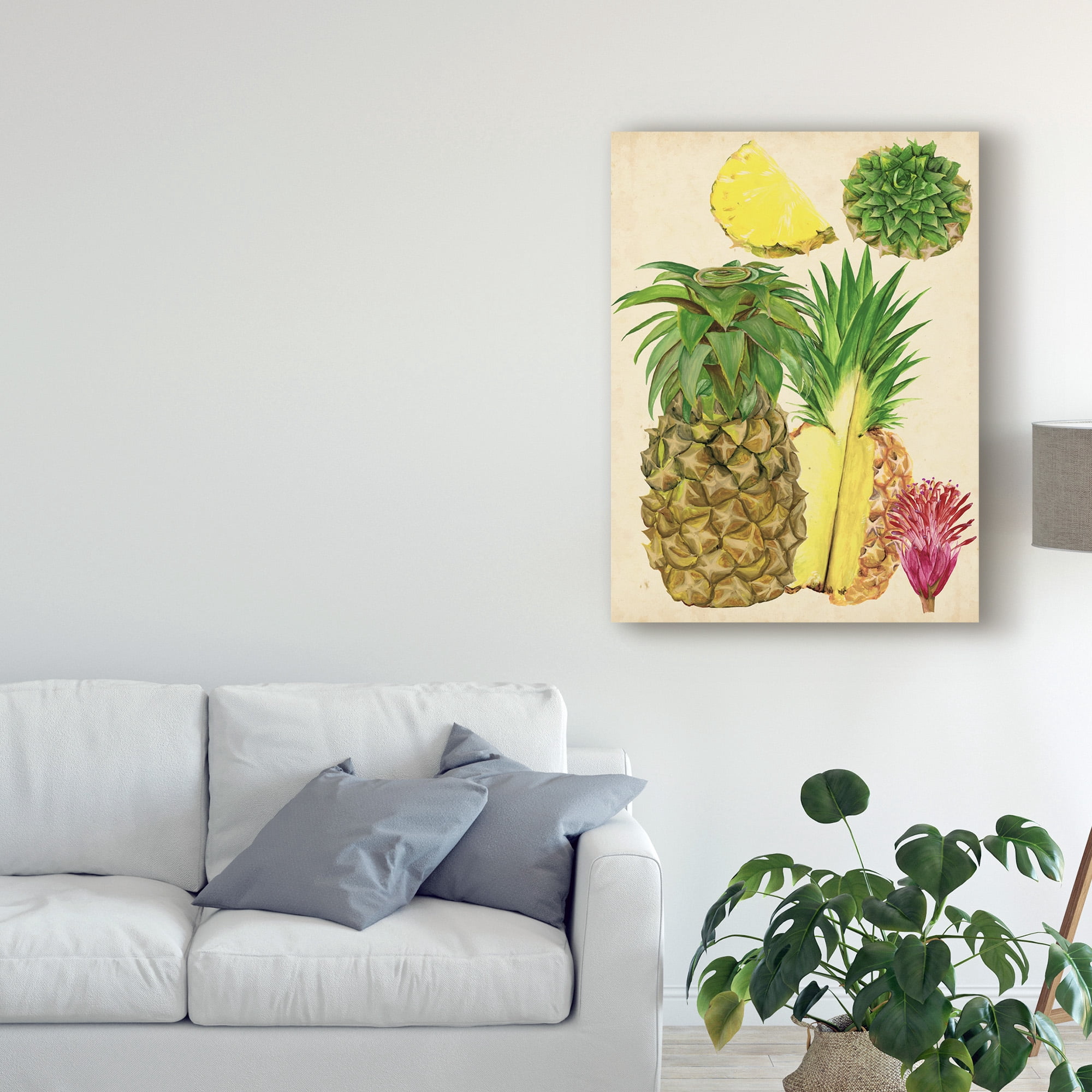 Trademark Fine Art 'Tropical Pineapple Study I' Canvas Art by Melissa Wang