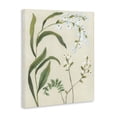 thumbnail image 2 of Stupell Industries Rustic Lodge Soft Snowdrop Stems Canvas Art, 36 x 48, by June Erica Vess, 2 of 8