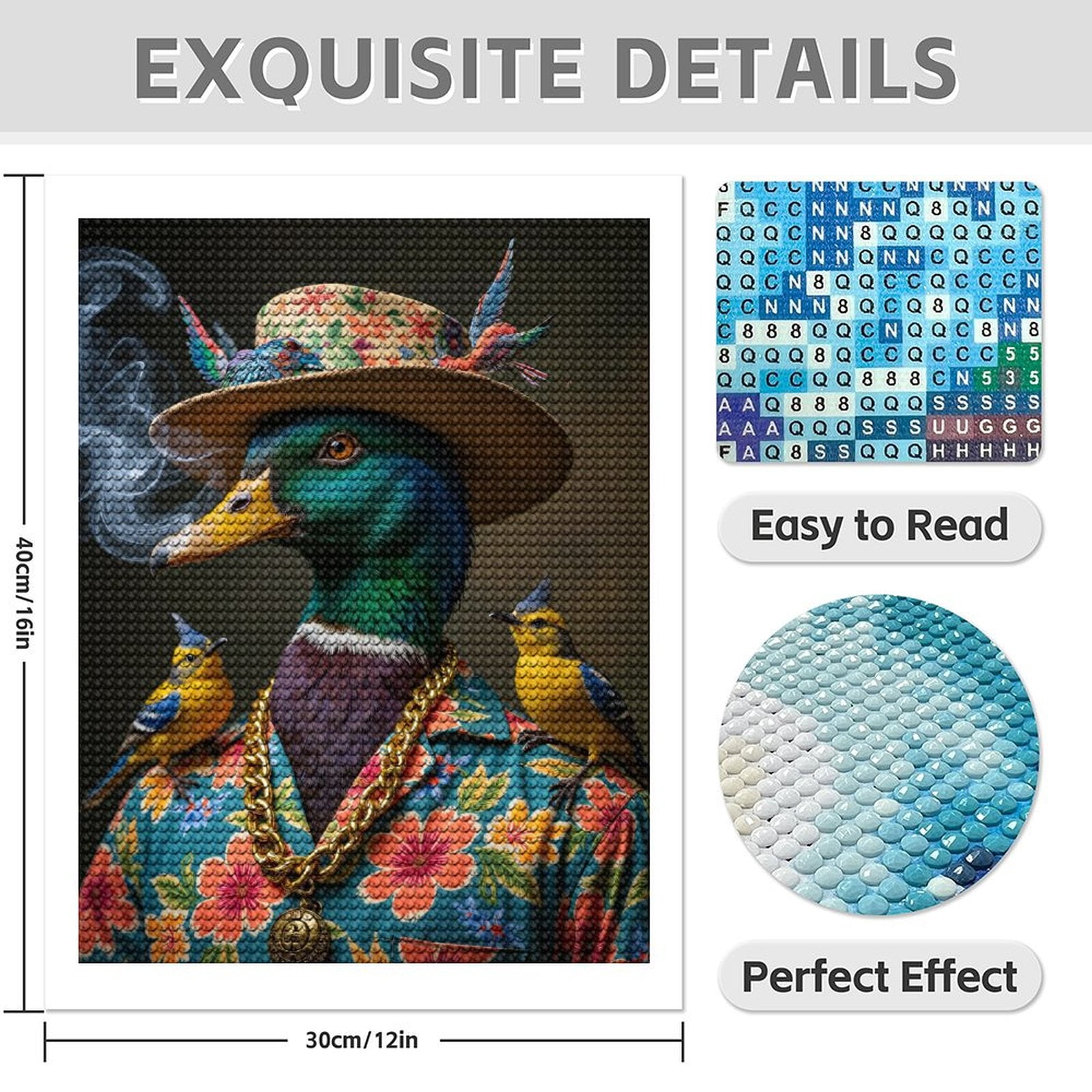 Diamond Art Kit for Adults, Exotic Duck Fashion Portrait Diamond Painting for Adults Beginners, DIY Diamond Art Painting Kits, 5D Diamond Painting Crafts for Home Decor 12x16 Frameless