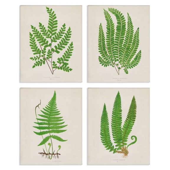 Stupell Industries Subtle Green Fern Branches Floral Painting Wrapped Canvas Canvas Art Print Wall Art, 14 x 11, Set of 4