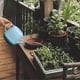 thumbnail image 1 of Regadera Herramienta de riego Suculentas Maceta Aspersor Regadera para jardín, Césped Plantas de interior Planta de flores Azul, 1 of 8