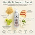 thumbnail image 3 of Ahimsa Gentle Daily Sulfate-Free Paraben-Free Vegan Safe for All Hair Types Shampoo with Natural Ingredients, 3 of 7