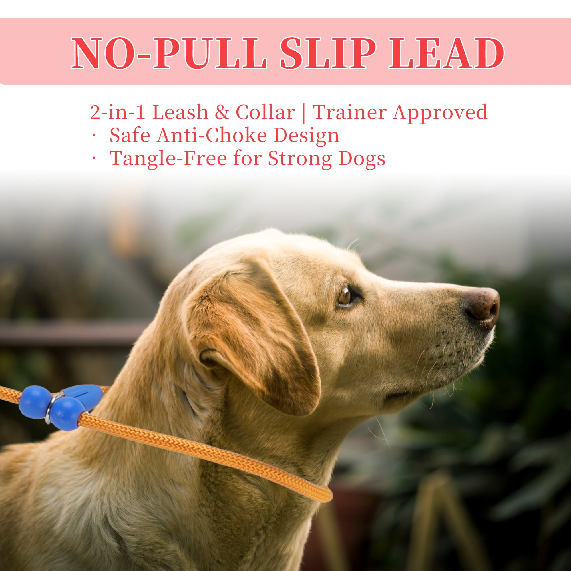Unique Bargains Slip Leash for Dogs No Pull Heavy Duty Training Leash Medium Orange 5ft