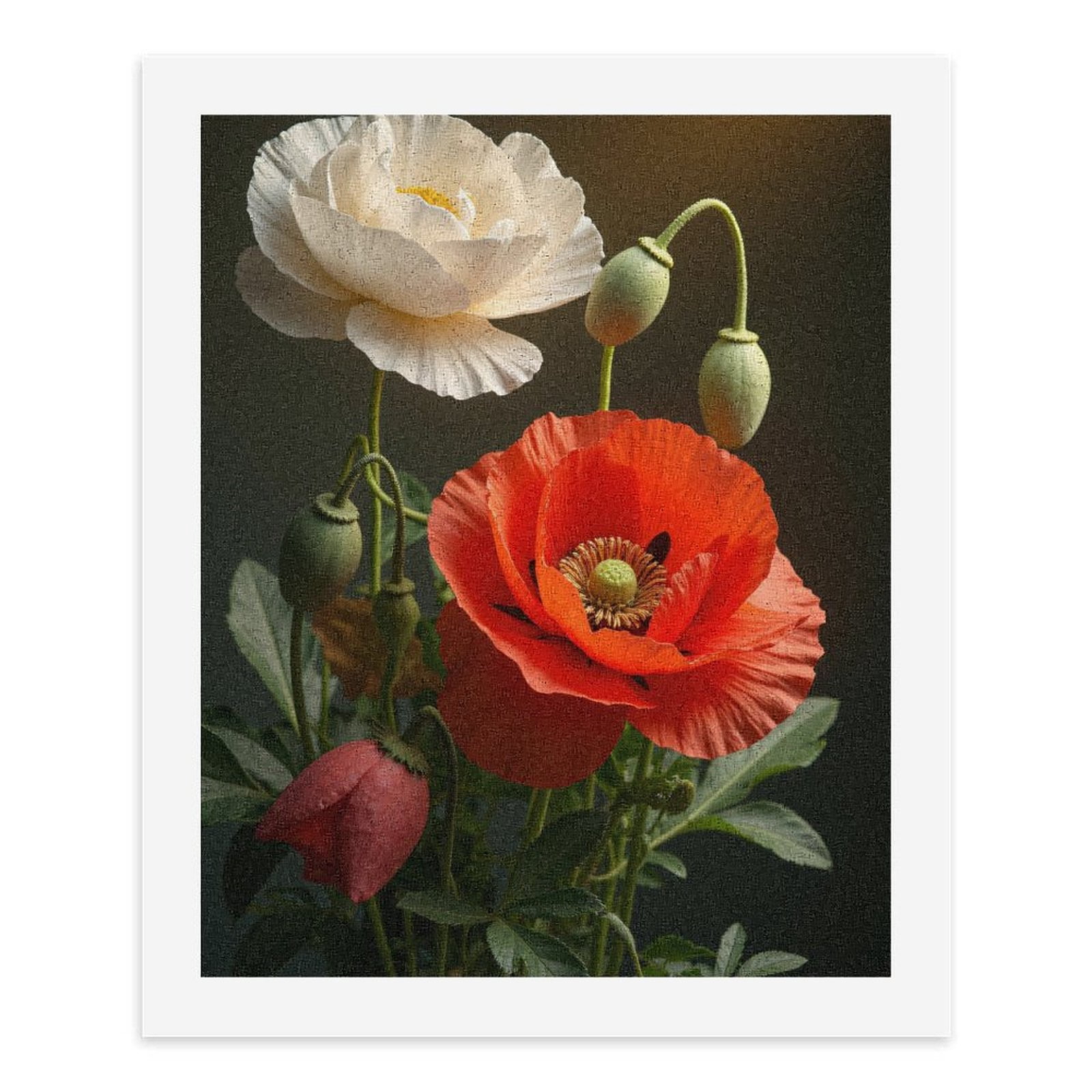 Paint by Numbers Kit for Adults, Red White Poppies Green Buds Paint by Numbers, Easy Paint by Numbers Kit for Adults Beginner, DIY Adult Paint by Number Kits on Canvas, Home Decor