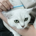 thumbnail image 6 of DABOOM Pet Steel Comb with Rounded Ends Stainless Steel Teeth, Metal Cat Dog Comb for Removing Tangles and Knots, Poodle Grooming Deshedding Tool, 6 of 8
