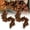 2pcs, variant on Brown Magnolia Leaf Garland,Autumn Decoration Brown Magnolia Leaf Garland,6FT Brown Magnolia Leaf Garland for Fall Decor – Realistic Faux Silk Leaves, Rustic Harvest Indoor Autumn Decoration(1pc 6ft)