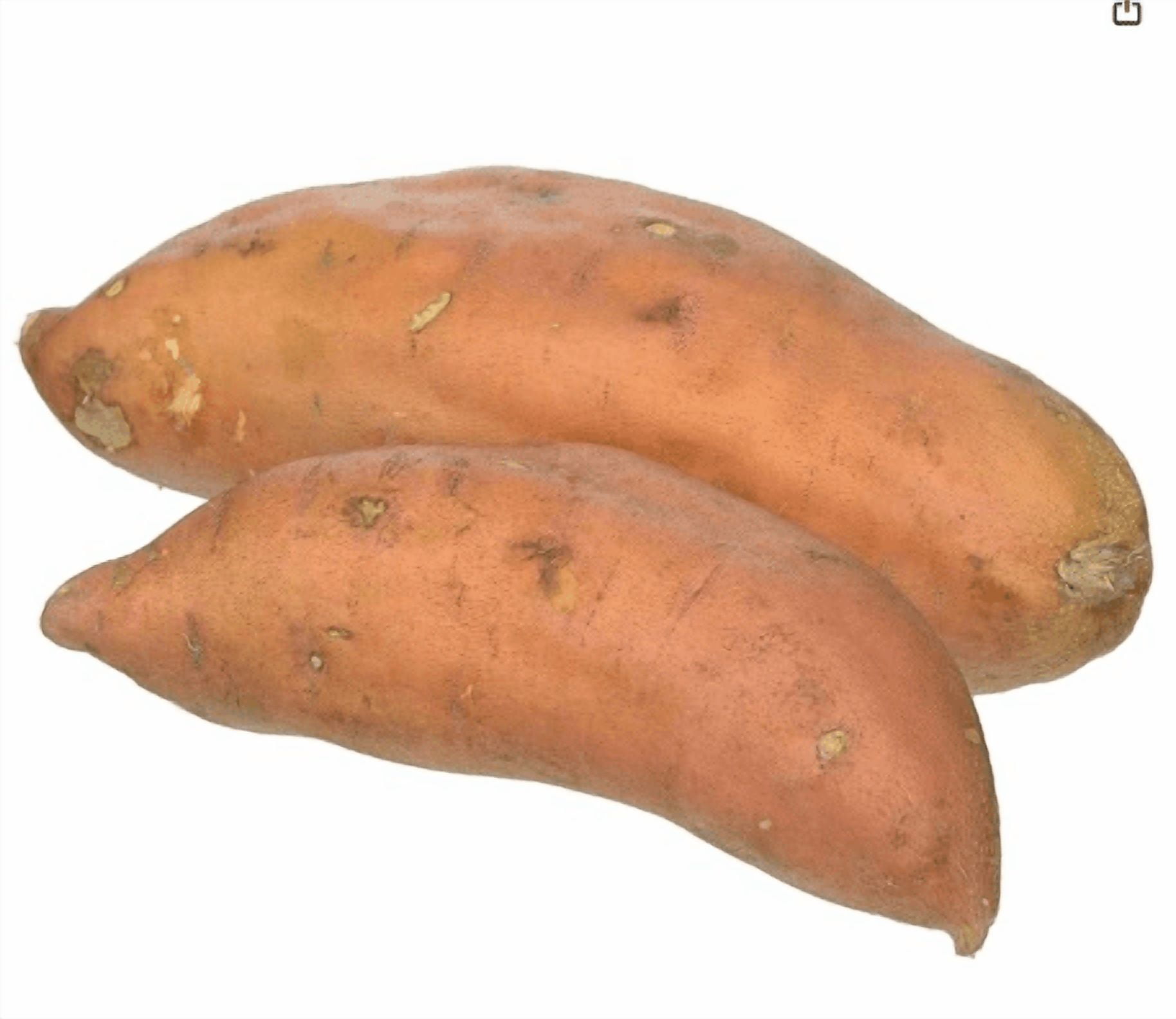 Bruce's Mashed Sweet Potatoes #10 Can | 6.93 lb
