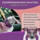 thumbnail image 5 of Hmwy-pet Perro Gato Sombrero Alivio de la Ansiedad Aseo Orejeras Cubierta Proteger Bufanda, 5 of 5