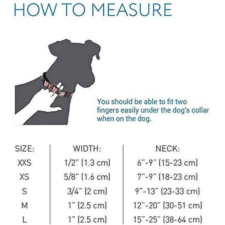 RC Pets 6-Foot Dog Leash – 'All The Buzz' Pattern, Reflective, D-Ring For Accessories, Made In Canada