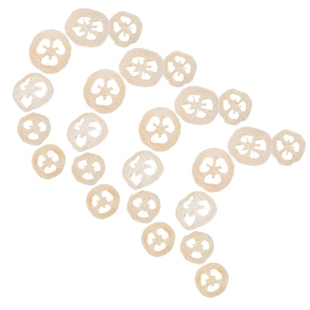 Homoyoyo 40Pcs White Cage Chew Toys for Hamsters Small Pets Accessories