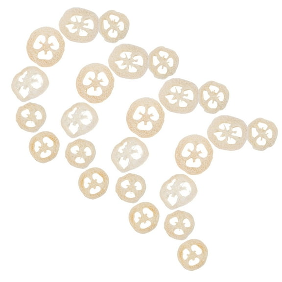 Homoyoyo 40Pcs White Cage Chew Toys for Hamsters Small Pets Accessories