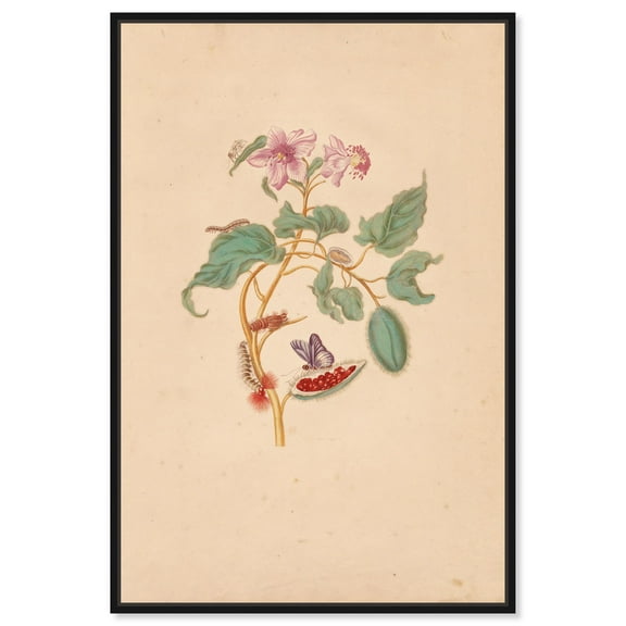 Art Remedy Botanical Prints Canvas, 10" x 15", Black Frame, Rocu Tree