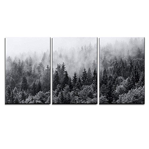 Wall26 3 Piece Canvas Wall Art Misty Forests Of Evergreen Coniferous Trees In An Ethereal Landscape Modern Home Art Stretched And Framed Ready To Hang Walmart Com Walmart Com Wall26 3 Piece Canvas Wall Art Misty Forests Of Evergreen Coniferous Trees In An Ethereal Landscape Modern Home Art Stretched And Framed Ready To Hang Walmart Com Walmart Com