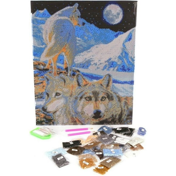 CA Kit (Large) - The Sentinel