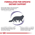 thumbnail image 3 of ROYAL CANIN FELINE WEIGHT CONTROL 3.5 KG, 3 of 3