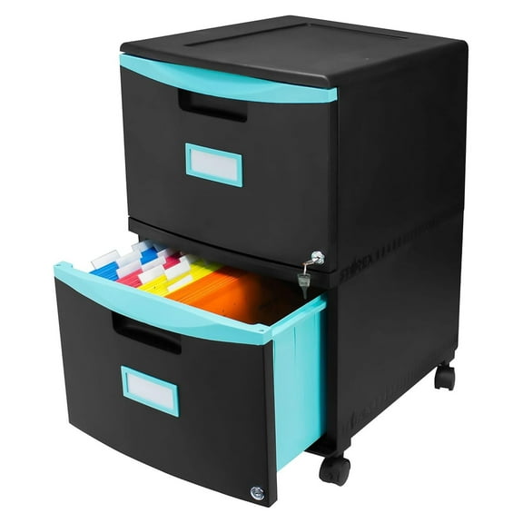 Plastic Two-Drawer File Cabinet – Locking Document Organizer with Casters for Home and Office, Black, 1-Pack (61315U01C)