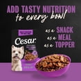 thumbnail image 4 of Cesar Filets in Gravy Beef and Chicken Flavors Wet Dog Food, 1.76 oz Mini-Pouches, 20 Ct, 4 of 10