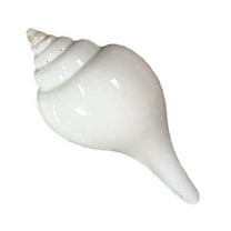 Puja Sankha | White Conch Shells (Pack of 1) By Indian Collectible
