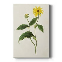 Flowers of the Seasons X Premium Gallery Wrapped Canvas - Ready to Hang