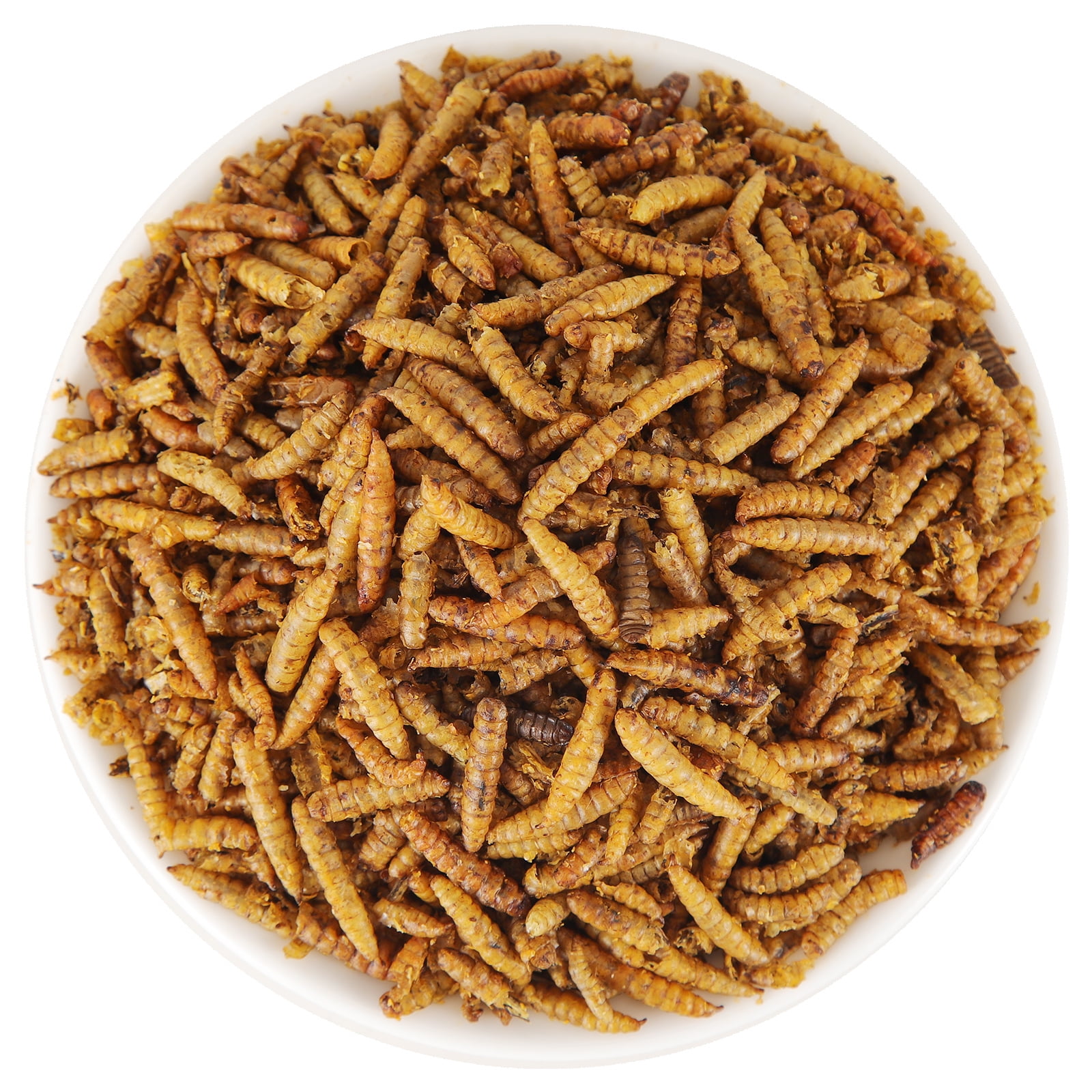 RIDWIND Dried Black Solidier Fly Larvae 44Lbs High-Protein BSF Larvae Chicken Treats Non-GMO BSFL for Chickens Hens, Ducks Wild Birds