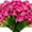 Rose red, variant on MAMOWEAR Artificial Flowers Outdoors, violets Fake Silk Flowers Faux Plants UV Resistant for Hanging Planters Window Box Front Porch Indoor Outside Decorations